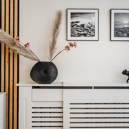 Nocosfera Premium Zgodny *