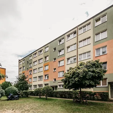 Nocosfera Premium Zgodny