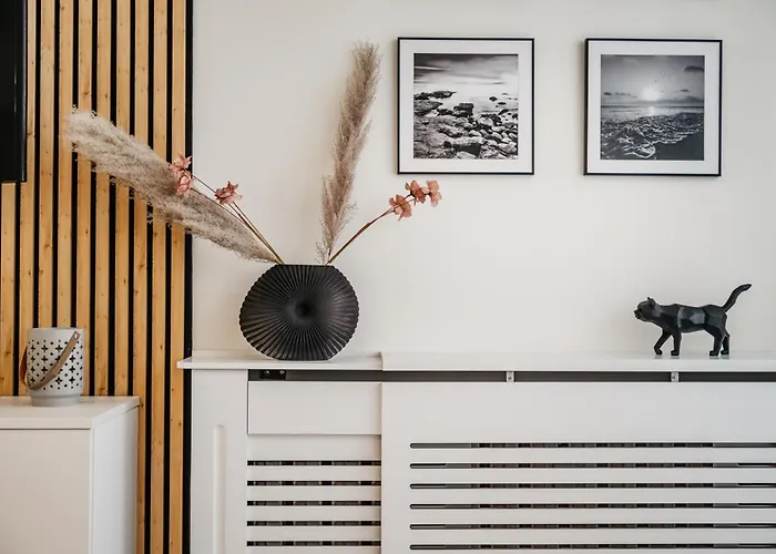 Nocosfera Premium Zgodny *