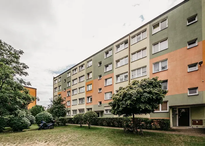 Nocosfera Premium Zgodny